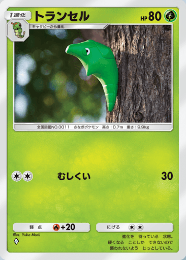 ポケポケで言語を学ぶ part5 トランセル Metapod Chrysacier篇